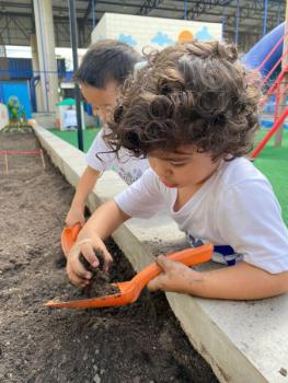 Horta - Educação Infantil