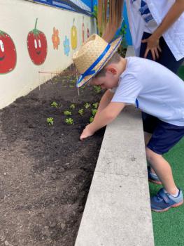 Horta - Educação Infantil