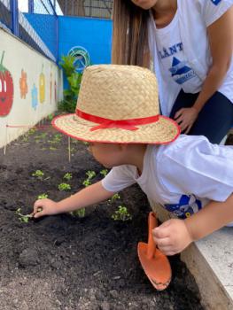 Horta - Educação Infantil