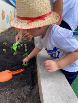 Horta - Educação Infantil