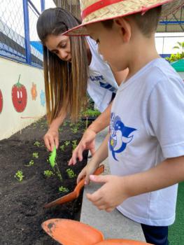 Horta - Educação Infantil