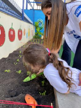 Horta - Educação Infantil