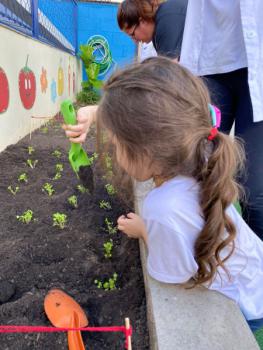 Horta - Educação Infantil