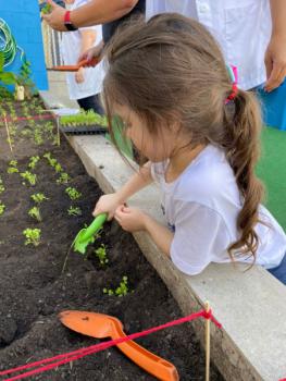 Horta - Educação Infantil