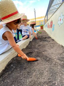 Horta - Educação Infantil