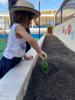 Horta - Educação Infantil