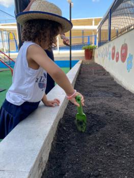 Horta - Educação Infantil