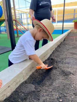 Horta - Educação Infantil