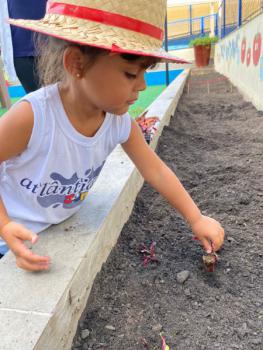 Horta - Educação Infantil