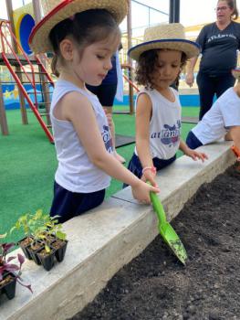 Horta - Educação Infantil