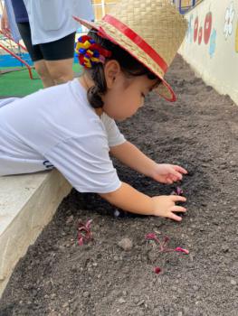 Horta - Educação Infantil