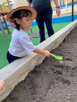 Horta - Educação Infantil