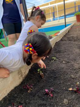 Horta - Educação Infantil