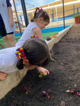 Horta - Educação Infantil