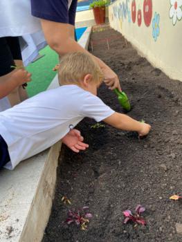 Horta - Educação Infantil