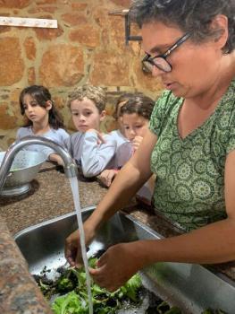 Dia da colheita - Horta 2º ano