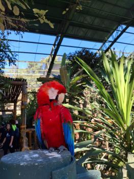 Animália Park
