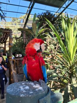 Animália Park