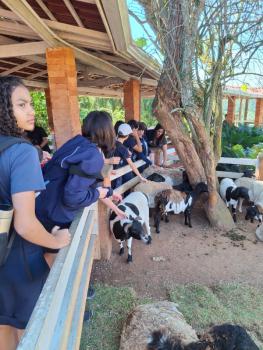 Animália Park
