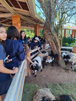 Animália Park