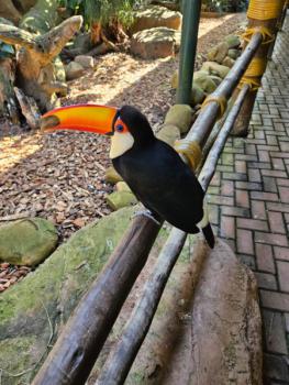 Animália Park