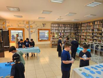 Ano Internacional de Preservação das Geleiras ONU-UNESCO - Grupo CRECIN