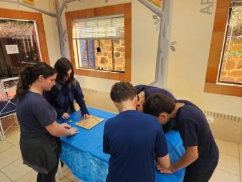 Ano Internacional de Preservação das Geleiras ONU-UNESCO - Grupo CRECIN