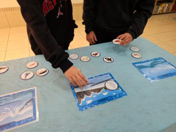 Ano Internacional de Preservação das Geleiras ONU-UNESCO - Grupo CRECIN