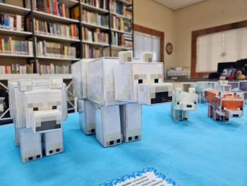 Ano Internacional de Preservação das Geleiras ONU-UNESCO - Grupo CRECIN