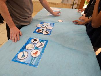 Ano Internacional de Preservação das Geleiras ONU-UNESCO - Grupo CRECIN