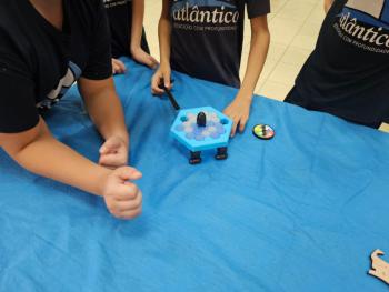 Ano Internacional de Preservação das Geleiras ONU-UNESCO - Grupo CRECIN