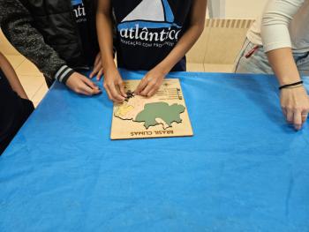 Ano Internacional de Preservação das Geleiras ONU-UNESCO - Grupo CRECIN