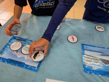 Ano Internacional de Preservação das Geleiras ONU-UNESCO - Grupo CRECIN