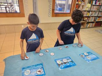 Ano Internacional de Preservação das Geleiras ONU-UNESCO - Grupo CRECIN