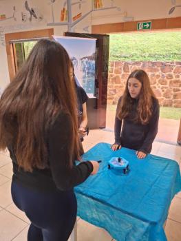 Ano Internacional de Preservação das Geleiras ONU-UNESCO - Grupo CRECIN