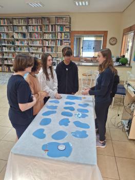 Ano Internacional de Preservação das Geleiras ONU-UNESCO - Grupo CRECIN