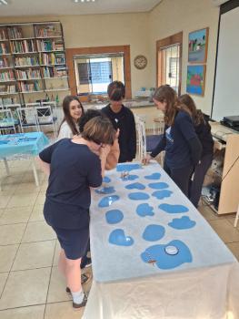 Ano Internacional de Preservação das Geleiras ONU-UNESCO - Grupo CRECIN