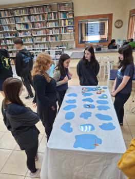 Ano Internacional de Preservação das Geleiras ONU-UNESCO - Grupo CRECIN