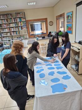 Ano Internacional de Preservação das Geleiras ONU-UNESCO - Grupo CRECIN